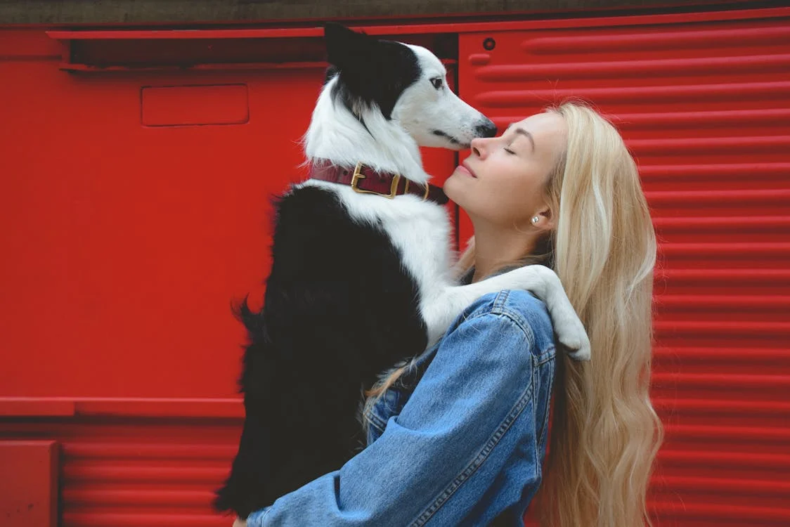 10 Dog Breeds That Form Unbreakable Bonds With Humans (Is Your Furry Soulmate on the List?)